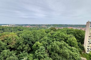 Zdjęcie WhatsApp 2025-08-08 o 13.24.16_a85f5696