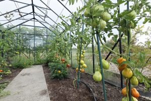 Zdjęcie WhatsApp 2025-08-21 o 10.32.47_4535f6e5