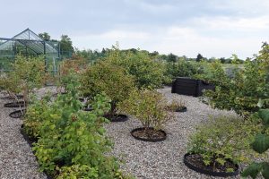 Zdjęcie WhatsApp 2025-08-21 o 10.32.55_cab3848a