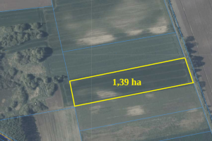 Zrzut ekranu 2025-11-05 162852