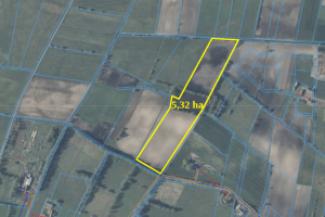 Zrzut ekranu 2025-11-05 163146