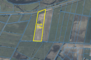 Zrzut ekranu 2025-11-13 092437